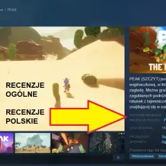 Mistrzowska recenzja gry na Steam: Skuteczne porady, które zachwyca graczy
