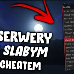 Serwery do cheatowania: Ryzykowna strona gamingu. Warto?