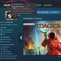 Steam key global - wszystko co musisz wiedzieć przed zakupem klucza gry