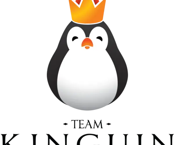 Team Kinguin: Wzloty i upadki polskiej legendy e-sportu