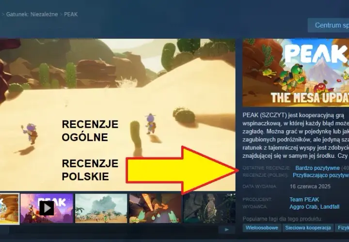 Mistrzowska recenzja gry na Steam: Skuteczne porady, które zachwyca graczy