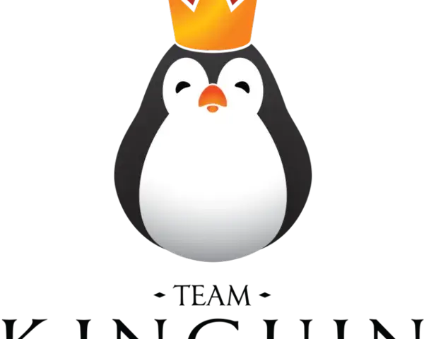 Team Kinguin: Wzloty i upadki polskiej legendy e-sportu