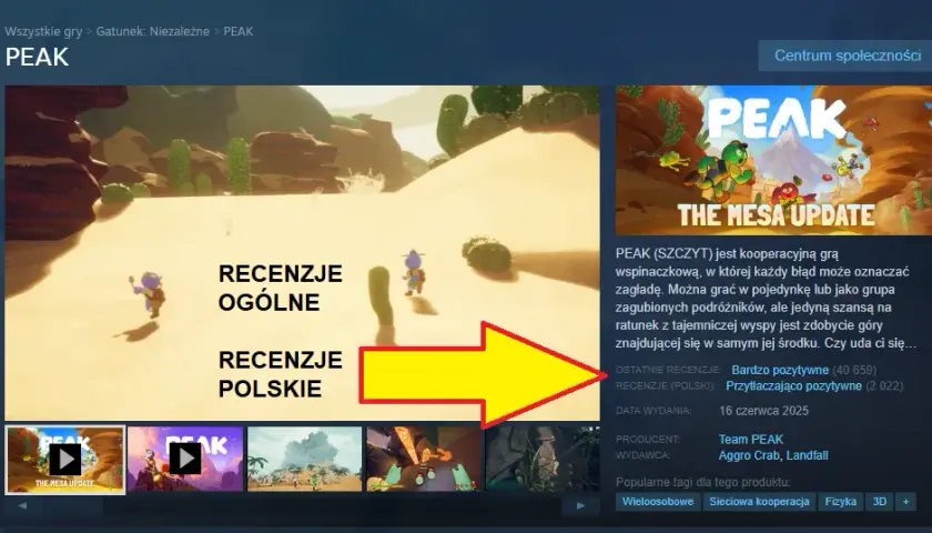 Mistrzowska recenzja gry na Steam: Skuteczne porady, które zachwyca graczy
