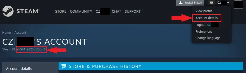 Zdjęcie Steam ID - Prosty sposób na sprawdzenie identyfikatora konta Steam po 5 minutach
